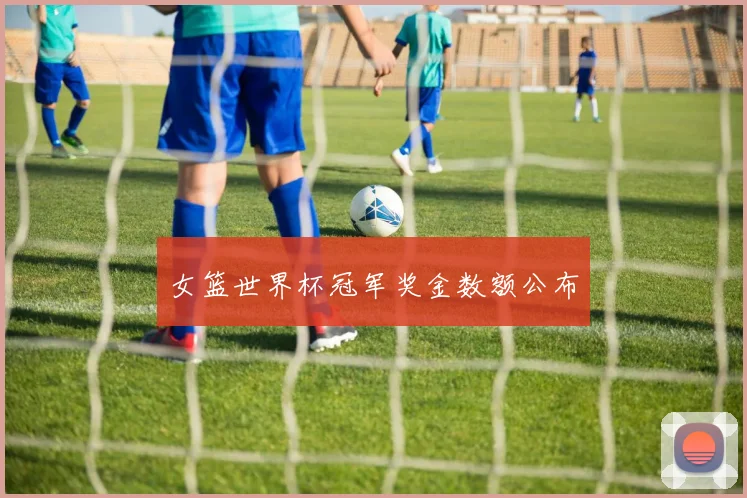 女篮世界杯冠军奖金数额公布
