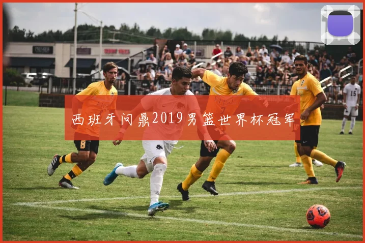 西班牙问鼎2019男篮世界杯冠军