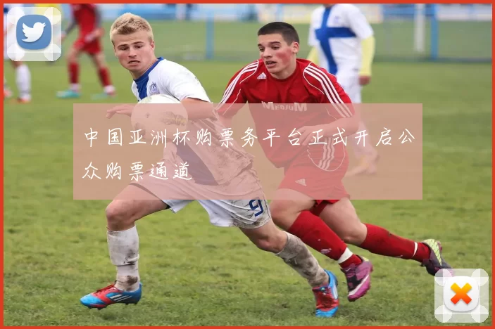中国亚洲杯购票务平台正式开启公众购票通道